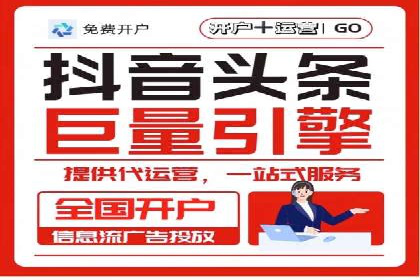 竞价广告策略案例分析